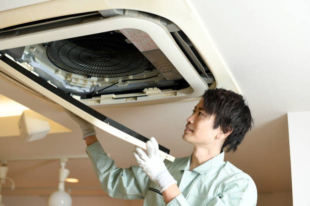 Best Air Duct Cleaning Near Me  in Peach Springs, AZ